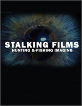stalking films