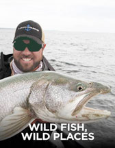 wild fish wild places