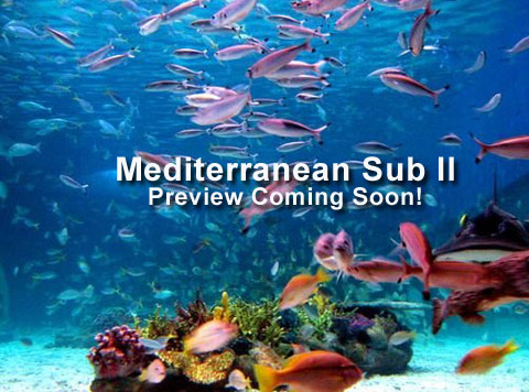 mediterranean Sub